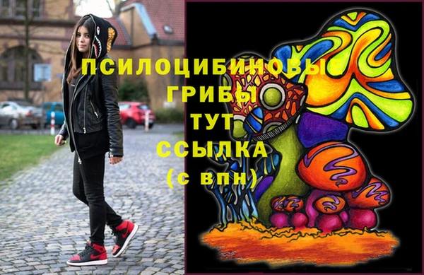 2c-b Армянск